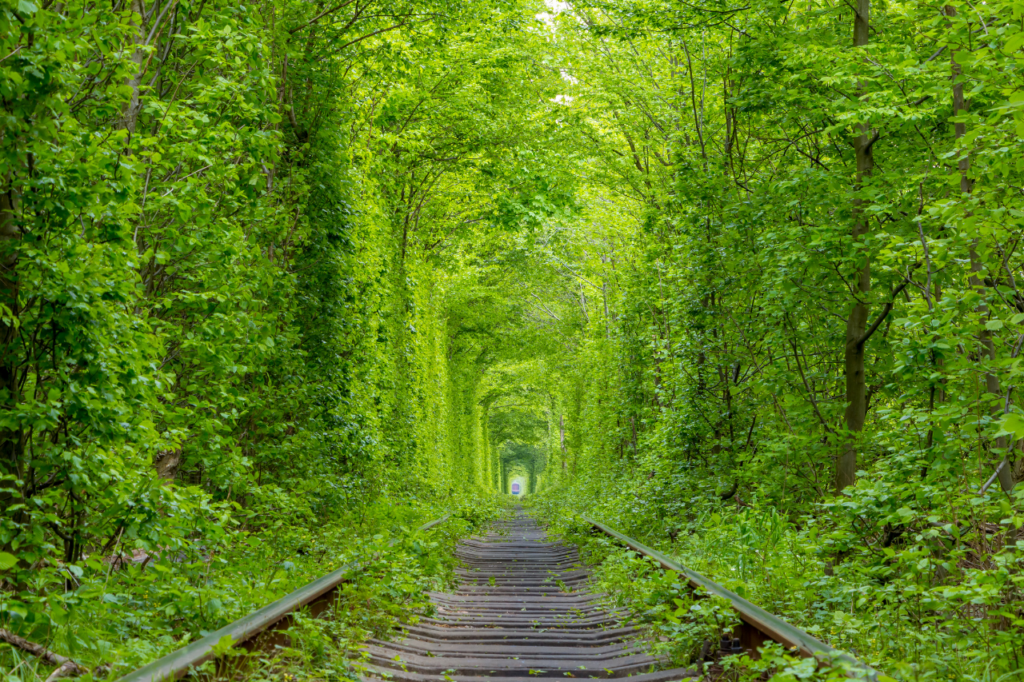 Safety first getting the message out for Smart Component Technologies