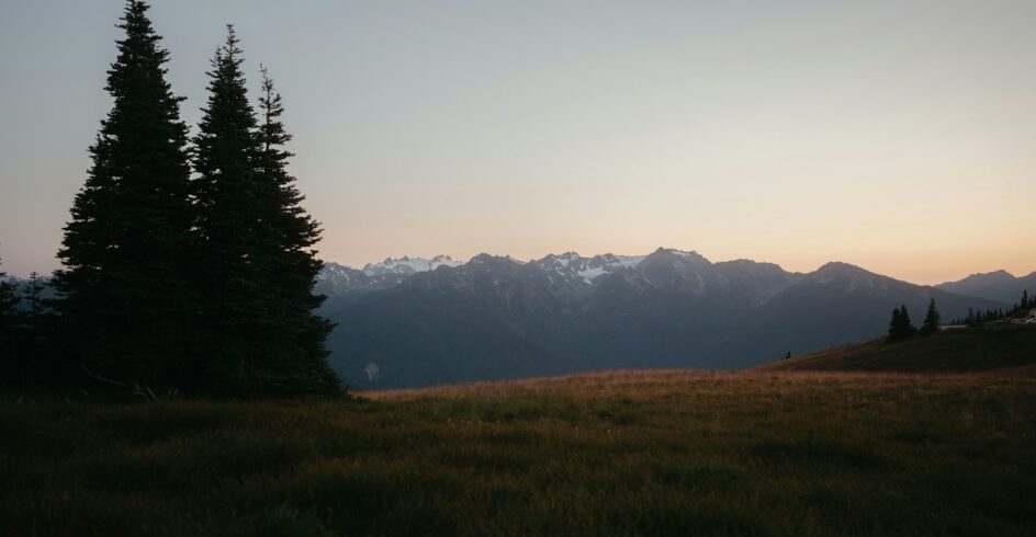 Mountain range at sunset with trees.