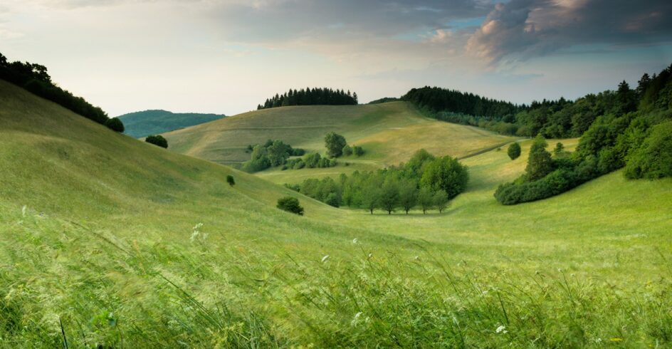 green hills with forest under cloudy sky during daytime